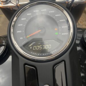 HARLEY DAVIDSON FAT BOY 107 2018